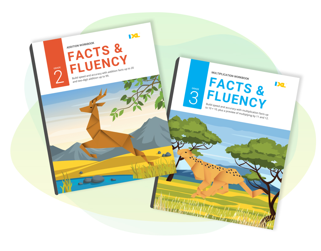 Facts and Fluency workbooks